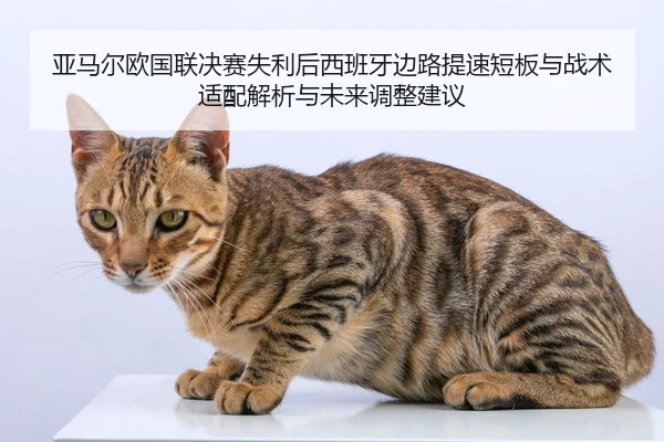 ya-ma-er-ou-guo-lian-jue-sai-shi-li-hou-xi-ban-ya-bian-lu-ti-su-duan-ban-yu-zhan-shu-shi-pei-jie-xi-yu-wei-lai-tiao-2-758.jpg