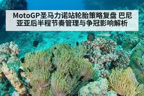 MotoGP圣马力诺站轮胎策略复盘 巴尼亚亚后半程节奏管理与争冠影响解析