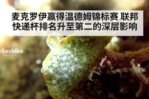 麦克罗伊赢得温德姆锦标赛 联邦快递杯排名升至第二的深层影响